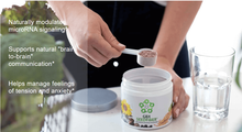 Load image into Gallery viewer, GBX Seedfiber Microbiome Boost | Amare