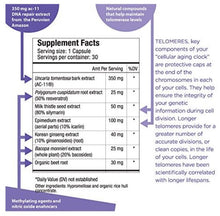 Load image into Gallery viewer, Healthycell Telomere Length