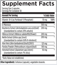 Load image into Gallery viewer, UT Synergy | Urinary Tract Health
